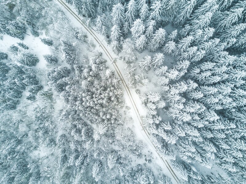 Snow-covered Forest — White, Serene, Winter, Photograph, Road