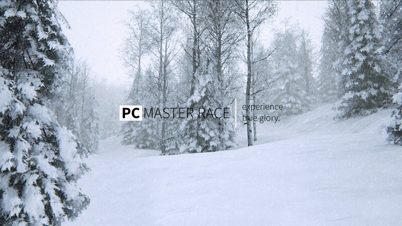 Snow-covered Forest — White, Serene, Winter, Photograph, Trees, Snow, Text