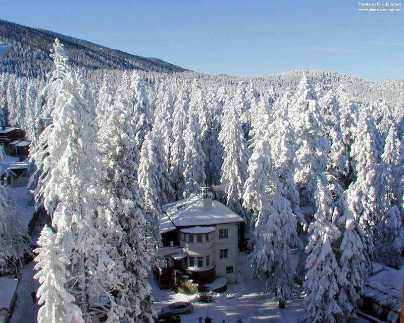 Snow-covered forest with house