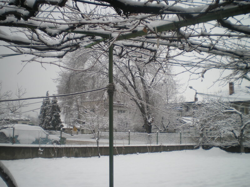 Snow-covered Garden Arbor