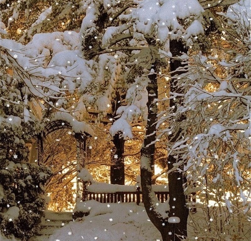 Snow-covered Garden Arch