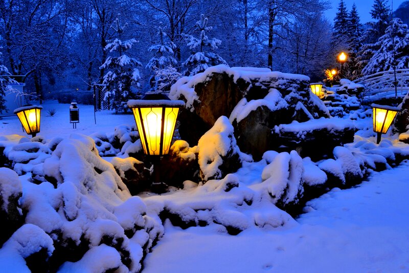 Snow-covered Garden at Night — Blue
