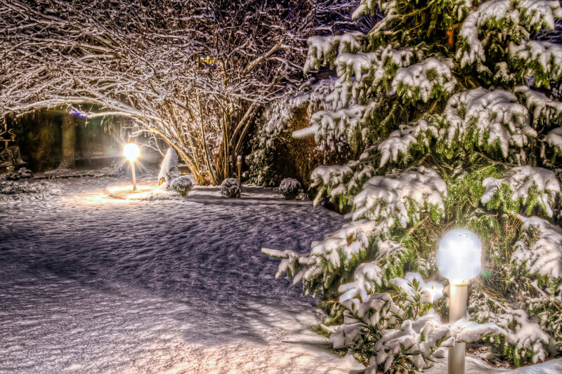 Snow-covered Garden at Night — White, Serene