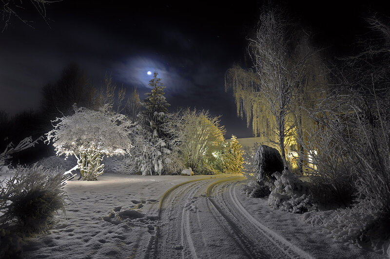 Snow-covered Garden at Night — White