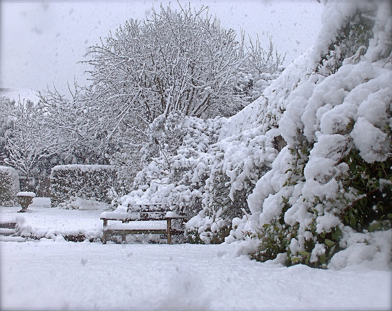 Snow-covered Garden Bench