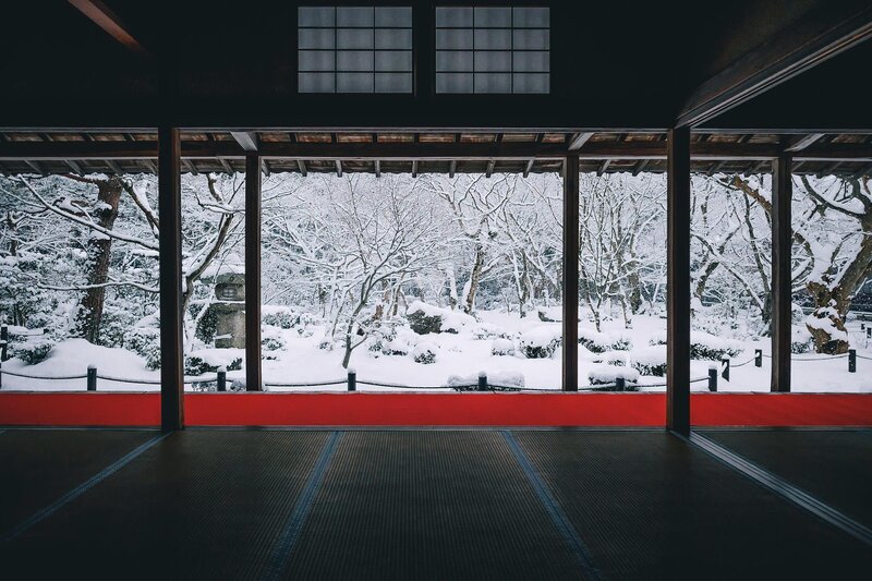 Snow-covered Garden — Black, Serene