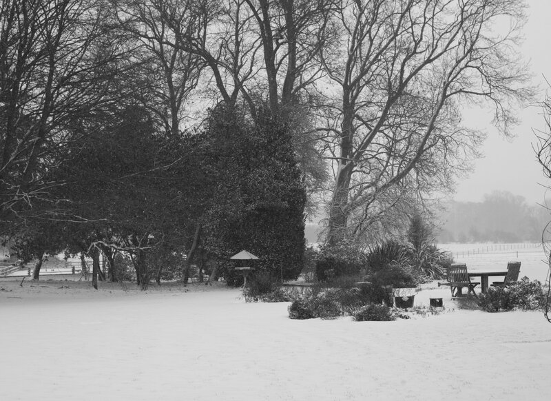 Snow-covered Garden — Black