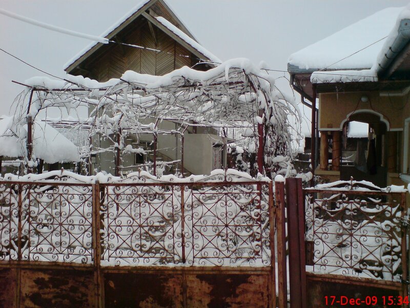 Snow-covered garden gate