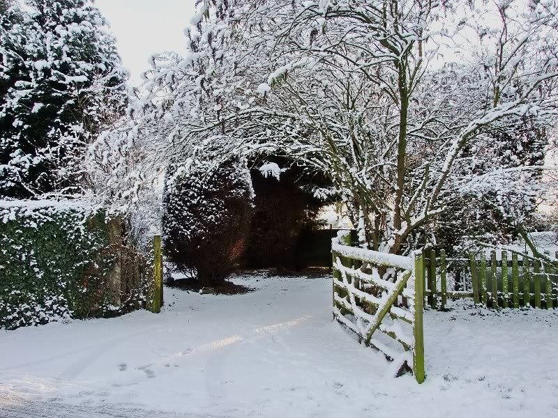Snow-covered Garden Gate — White