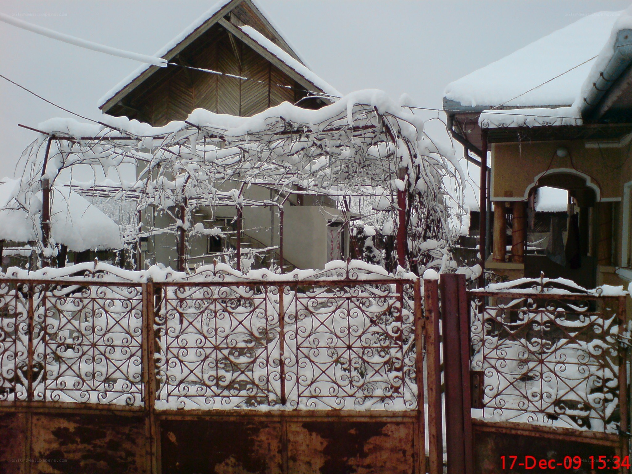 Snow-covered garden gate