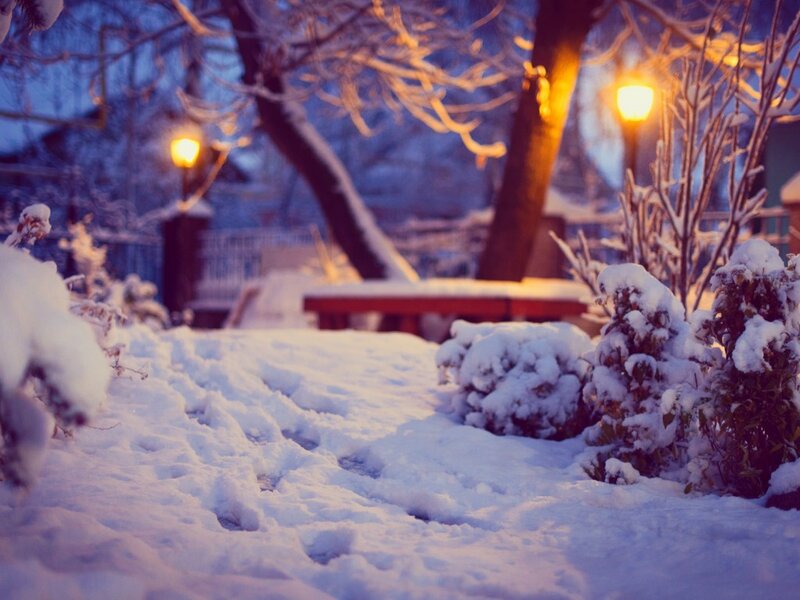 Snow-covered Garden Path — White