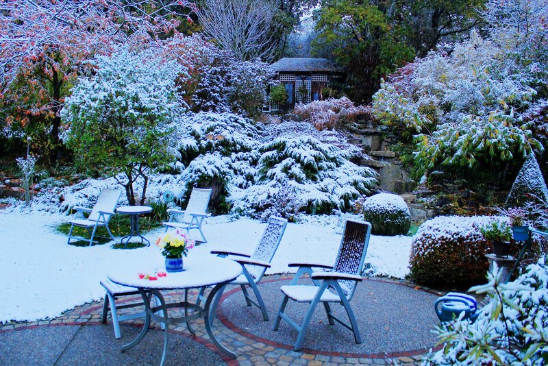 Snow-covered Garden Patio