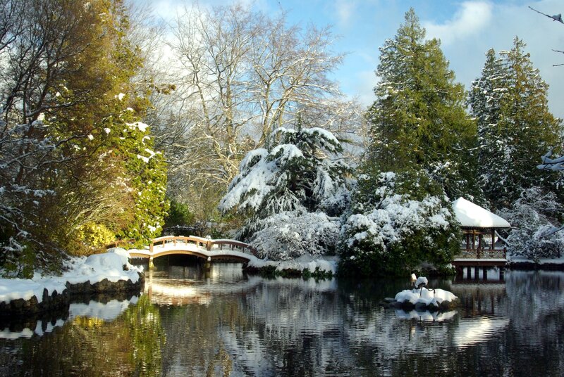 Snow-covered Garden Pond — Green