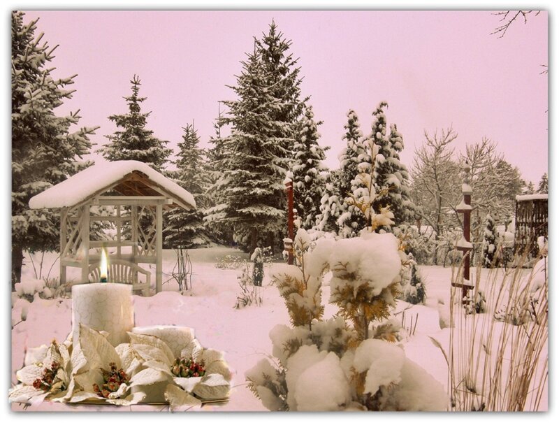Snow-covered Garden Scene — White