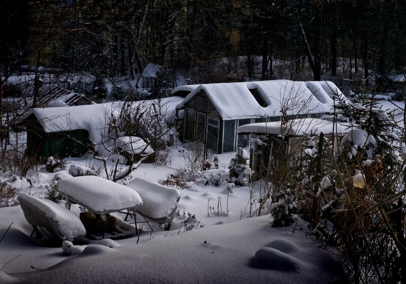 Snow-covered garden shed