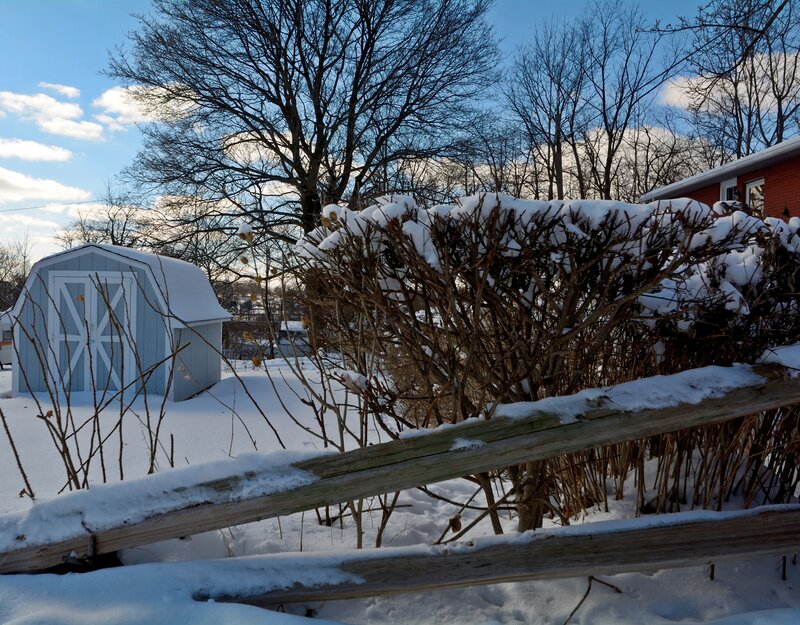 Snow-covered Garden Shed — White