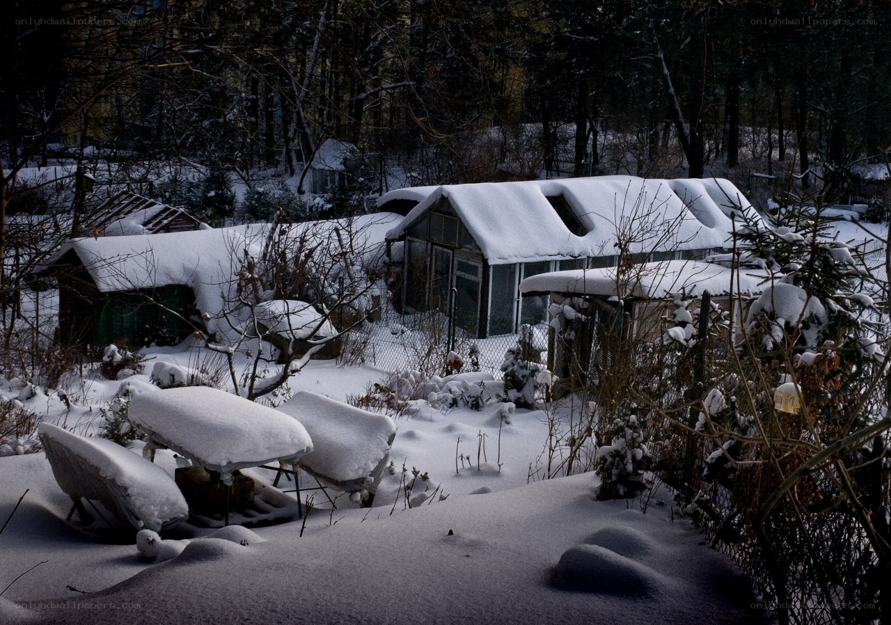 Snow-covered garden shed