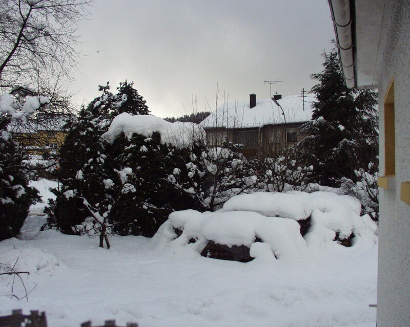 Snow-covered Garden
