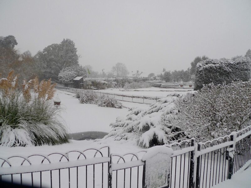 Snow-covered Garden — White, Calm, Winter, Photograph