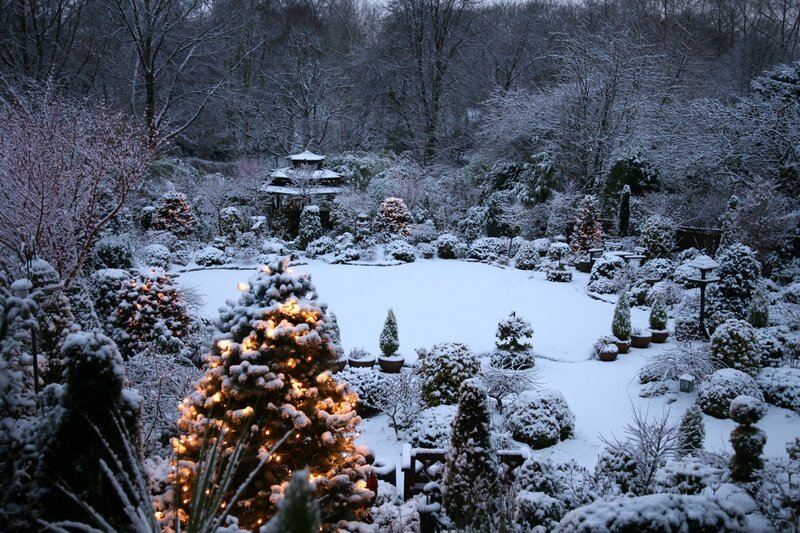 Snow-covered Garden — White, Serene