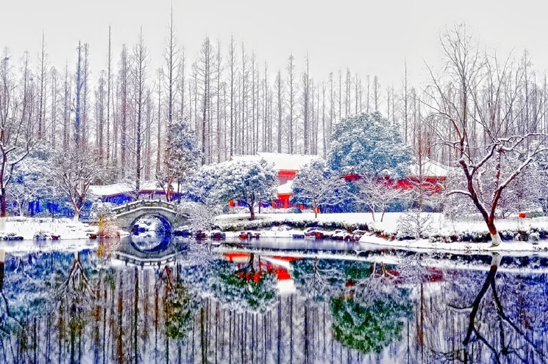 Snow-covered Garden — White, Serene, Winter, Photograph, Bridge