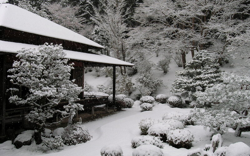 Snow-covered Garden — White, Serene, Winter, Photograph