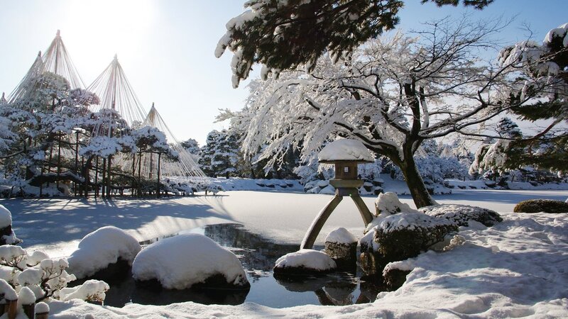 Snow-covered Garden — White, Serene, Winter, Photograph, Tree, Lantern
