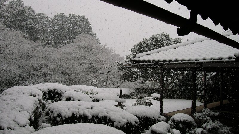 Snow-covered Garden — White, Serene, Winter, Photograph, Trees, Roof