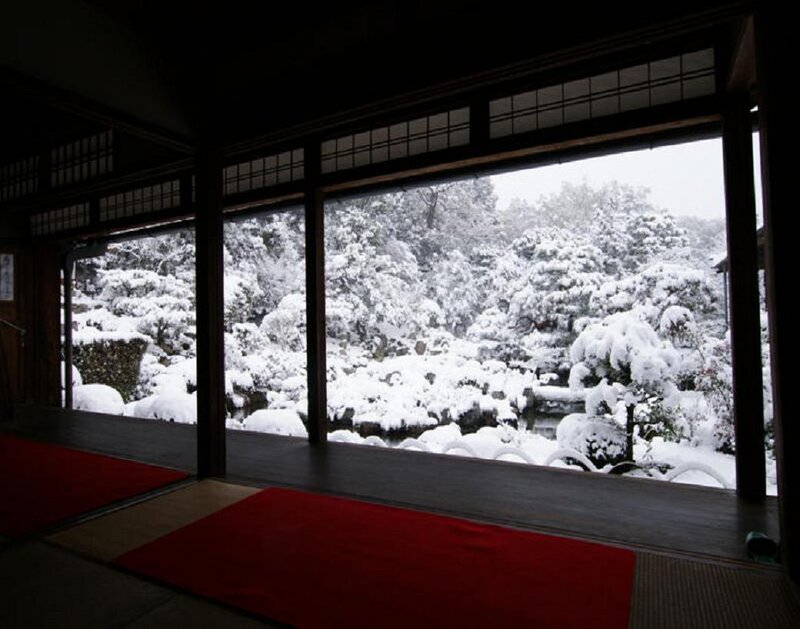 Snow-covered Garden — White, Serene, Winter, Photograph, Trees