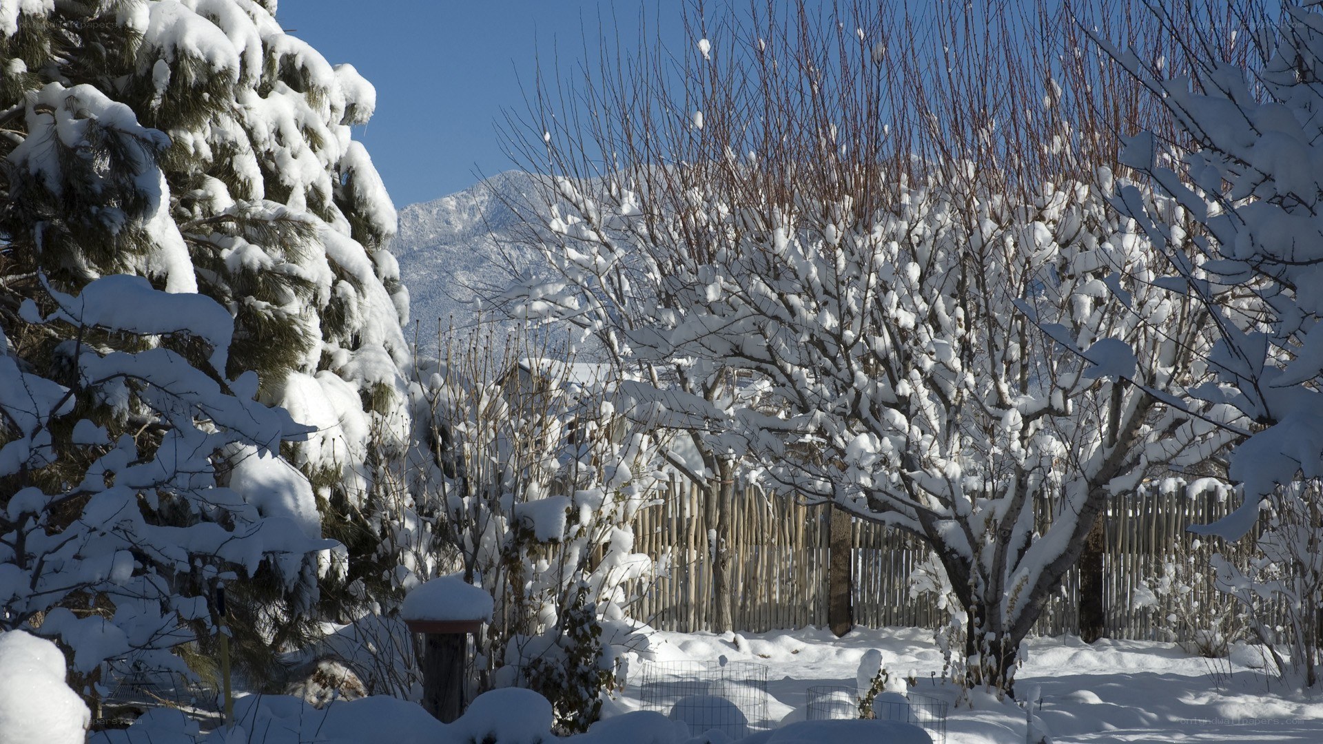 Snow-covered garden with mountains
