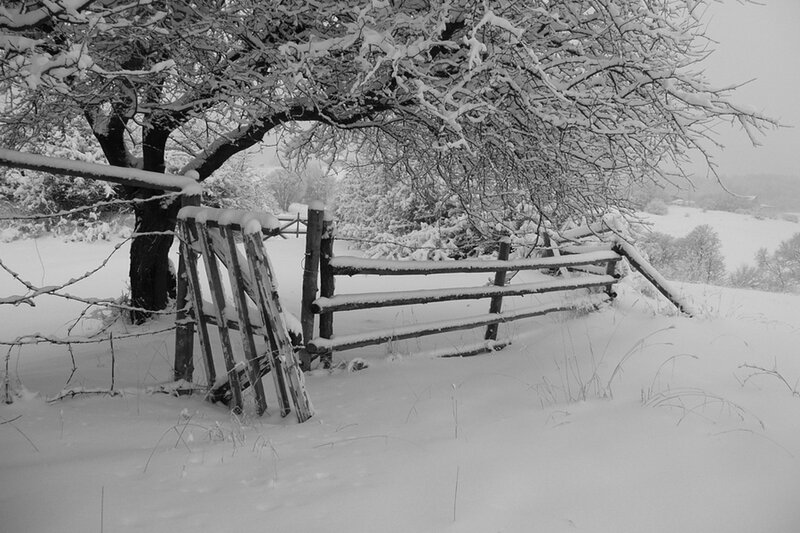 Snow-covered Gate and Fence