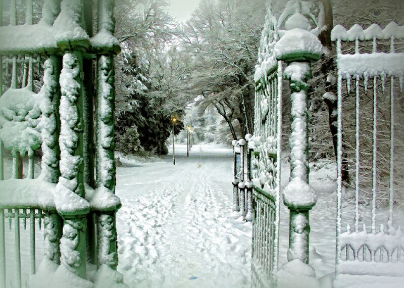 Snow-covered Gate and Path