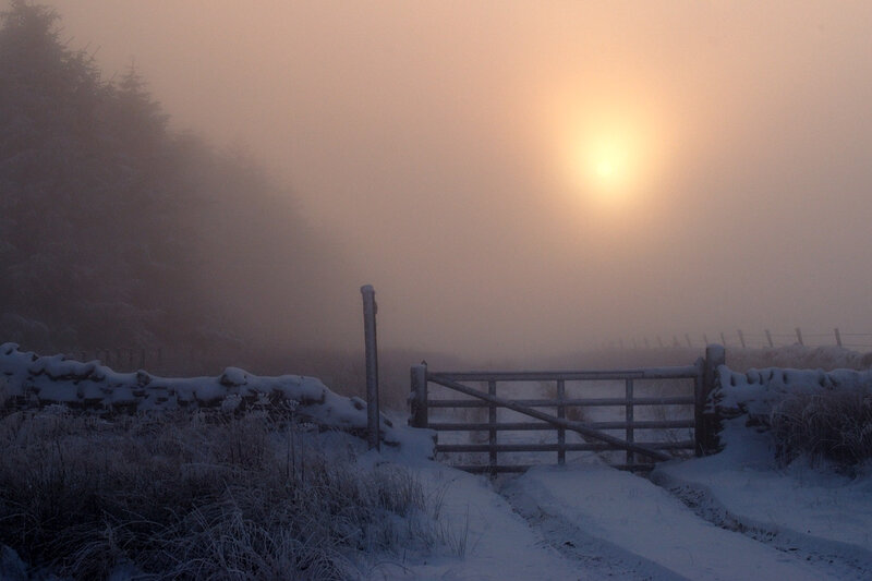 Snow-covered Gate in Fog