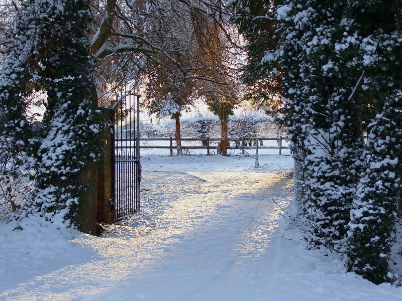 Snow-covered Gate Path