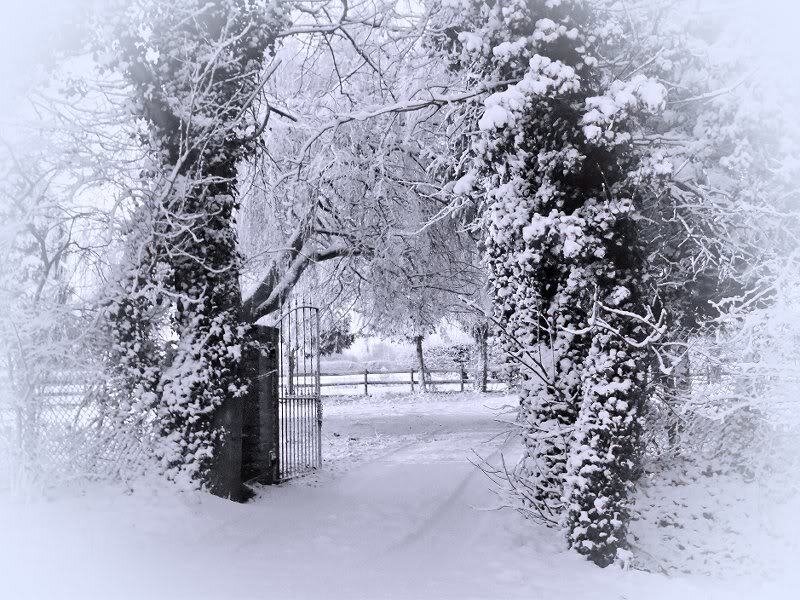 Snow-covered Gate