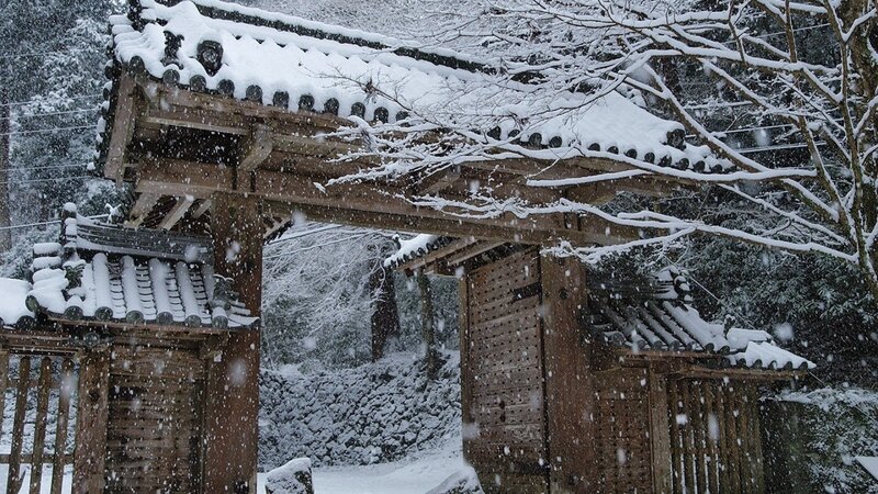 Snow-covered Gate — White, Serene
