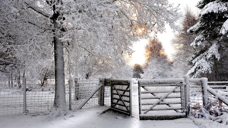 Snow-covered Gate — White, Serene, Winter