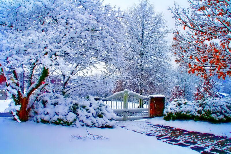 Snow-covered Gate — White