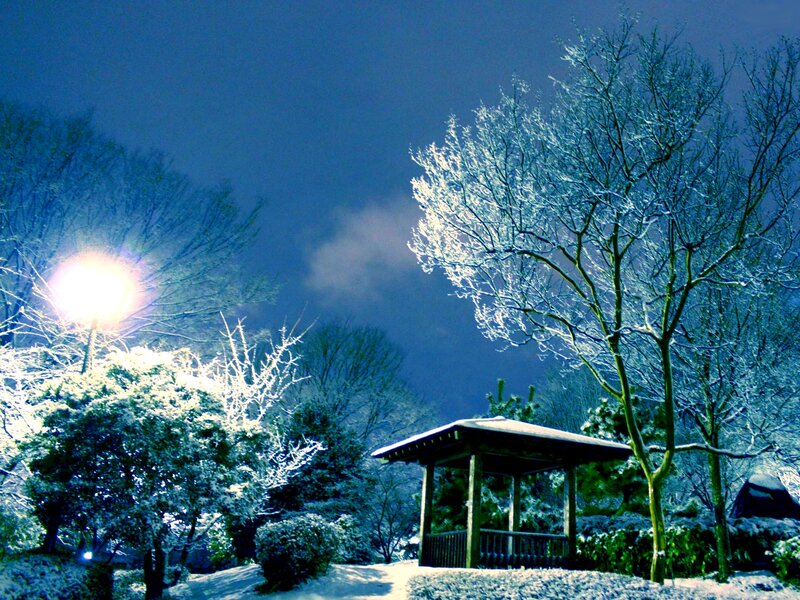 Snow-covered Gazebo — Blue, Serene