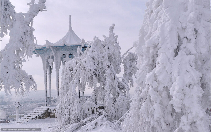 Snow-covered gazebo in winter