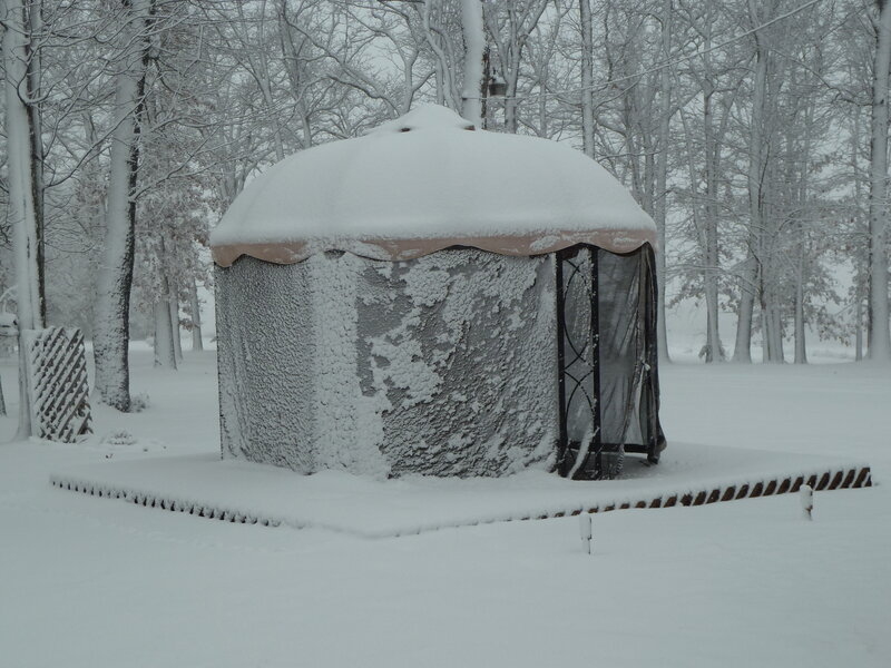 Snow-covered Gazebo — White, Cold