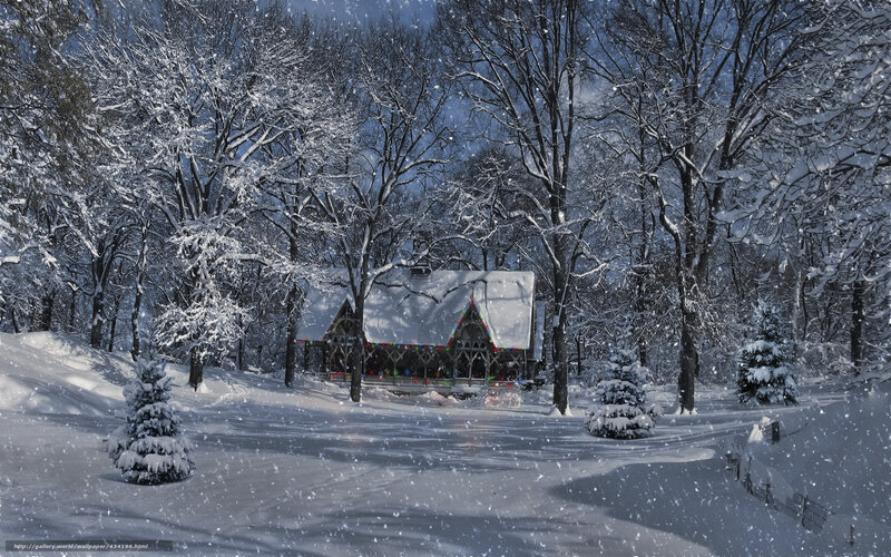 Snow-covered Gazebo — White, Serene, Winter, Photograph, Trees, Snow, Lights