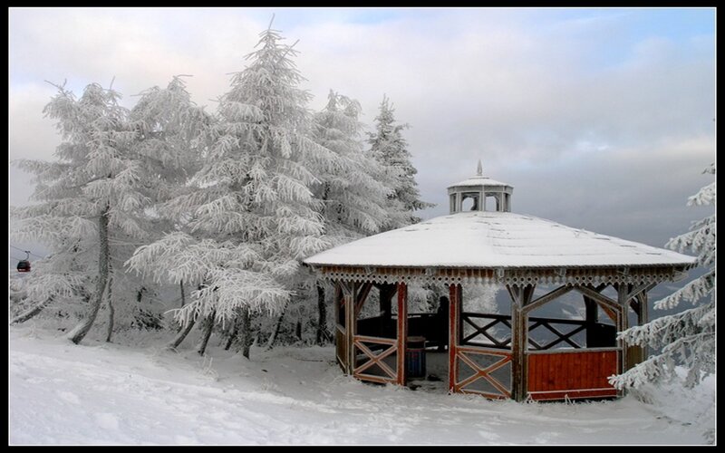 Snow-covered Gazebo — White, Serene, Winter