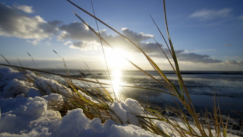 Snow-covered Grass by Water
