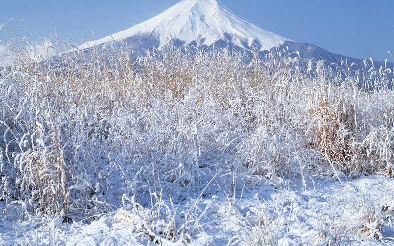 Snow-covered Grass with Mountain — White
