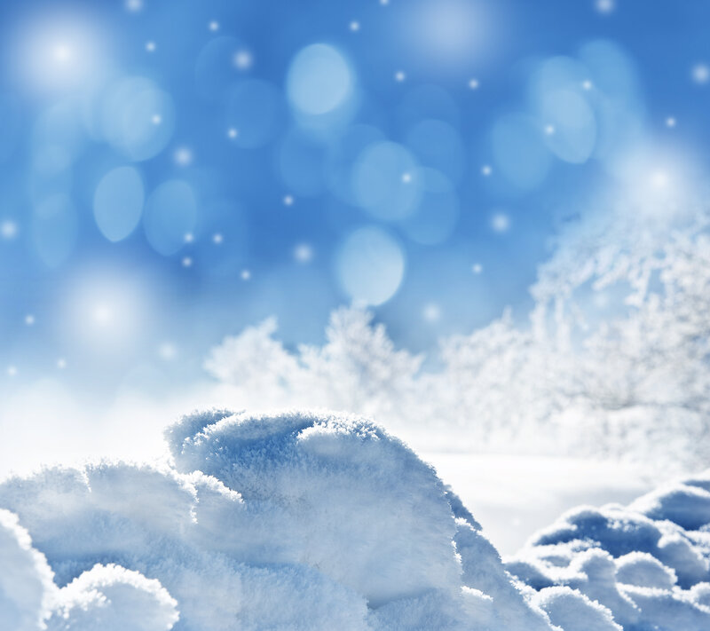 Snow-covered Ground and Trees