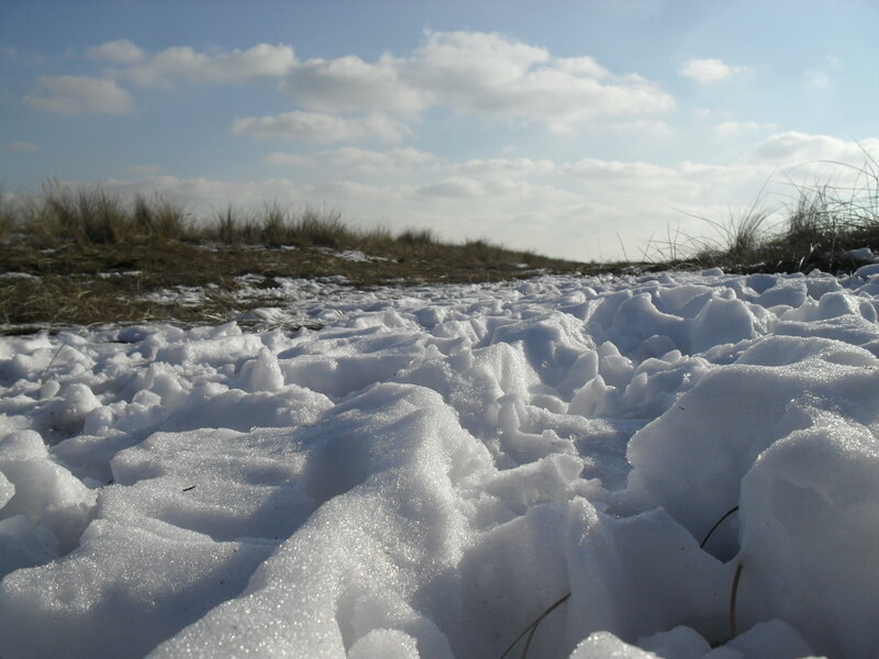Snow-covered Ground