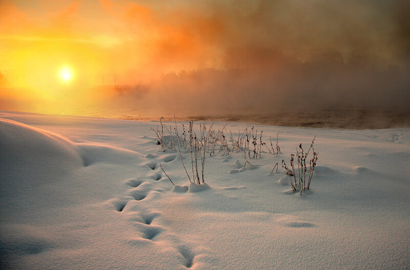Snow-covered Ground — White, Dramatic