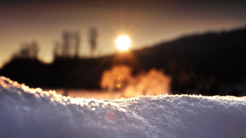 Snow-covered Ground — White, Serene, Sunset, Photograph, Sun, Trees