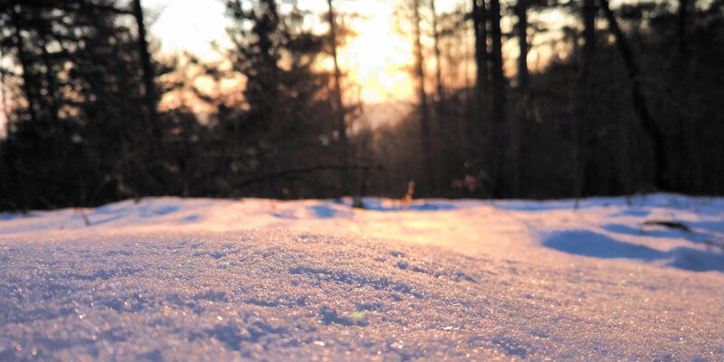 Snow-covered Ground — White, Serene, Sunset, Photograph, Trees